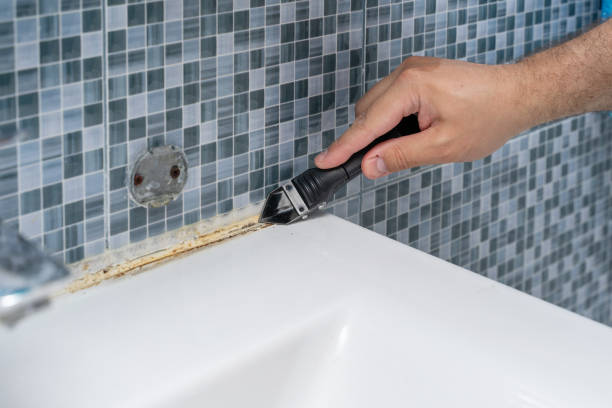 Mold Testing and Removal in Hermann, MO