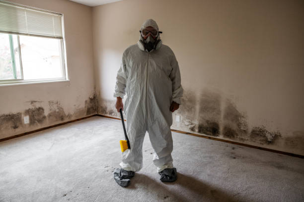 Best Mold Remediation  in Hermann, MO